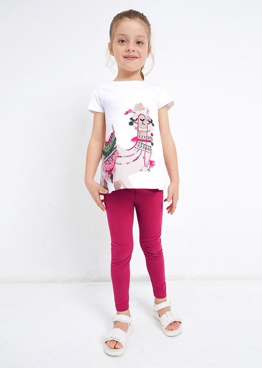 Conjunto niña 3779
